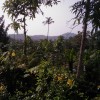 Fotos Kerala Nov-Dez 2011 teil 2 400.jpg